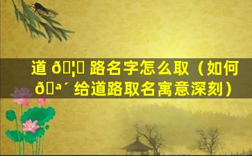 道 🦅 路名字怎么取（如何 🪴 给道路取名寓意深刻）